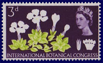 Stamp with blue color omitted