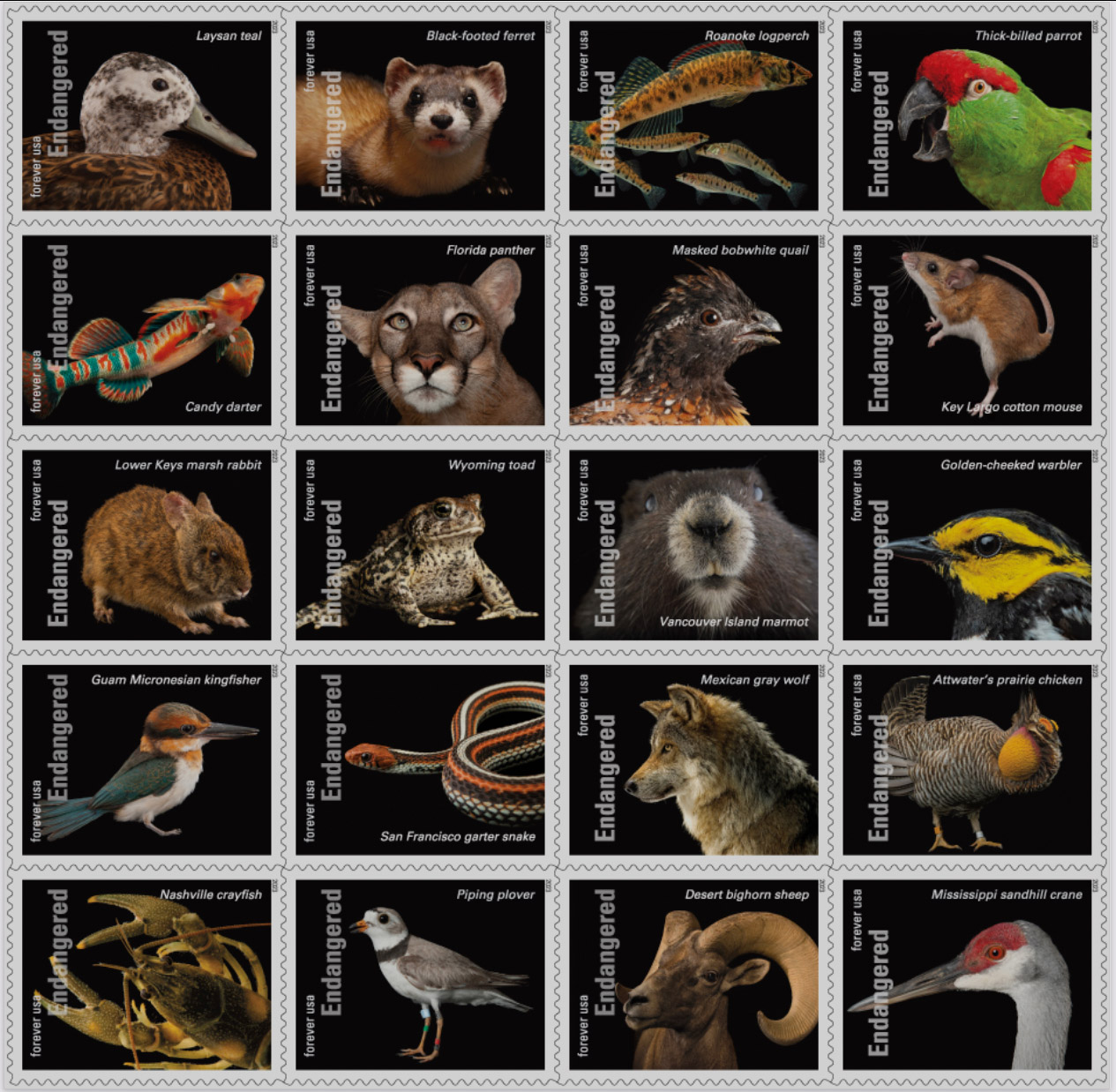 Endangered species US stamps 2023