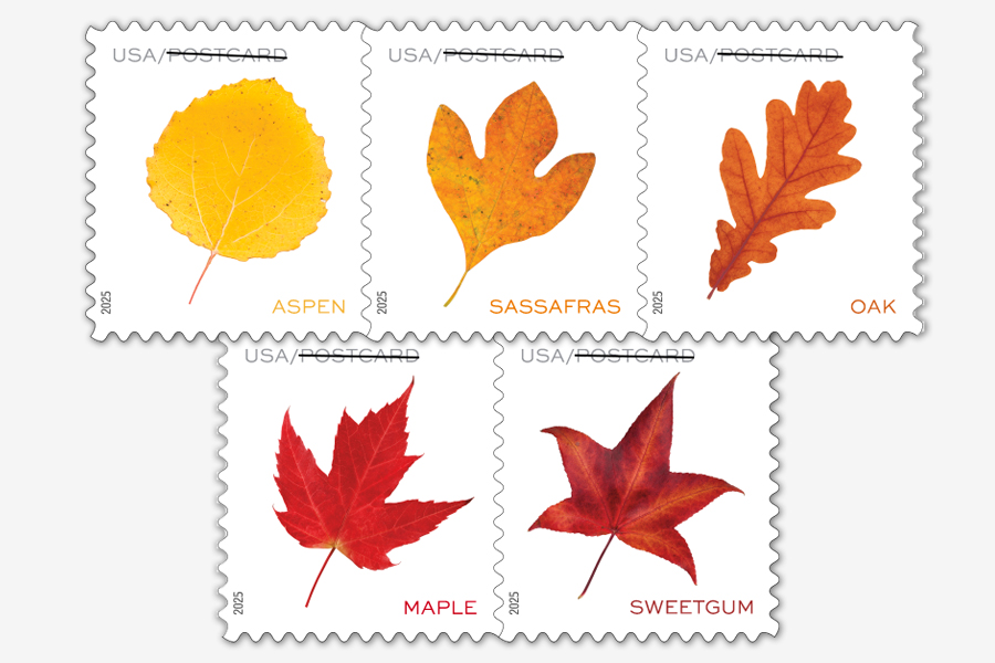 Vibrant leaves stamp series