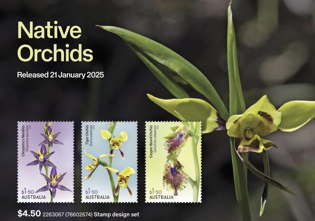 Native Orchids stamp series, Australia new stamps 2025