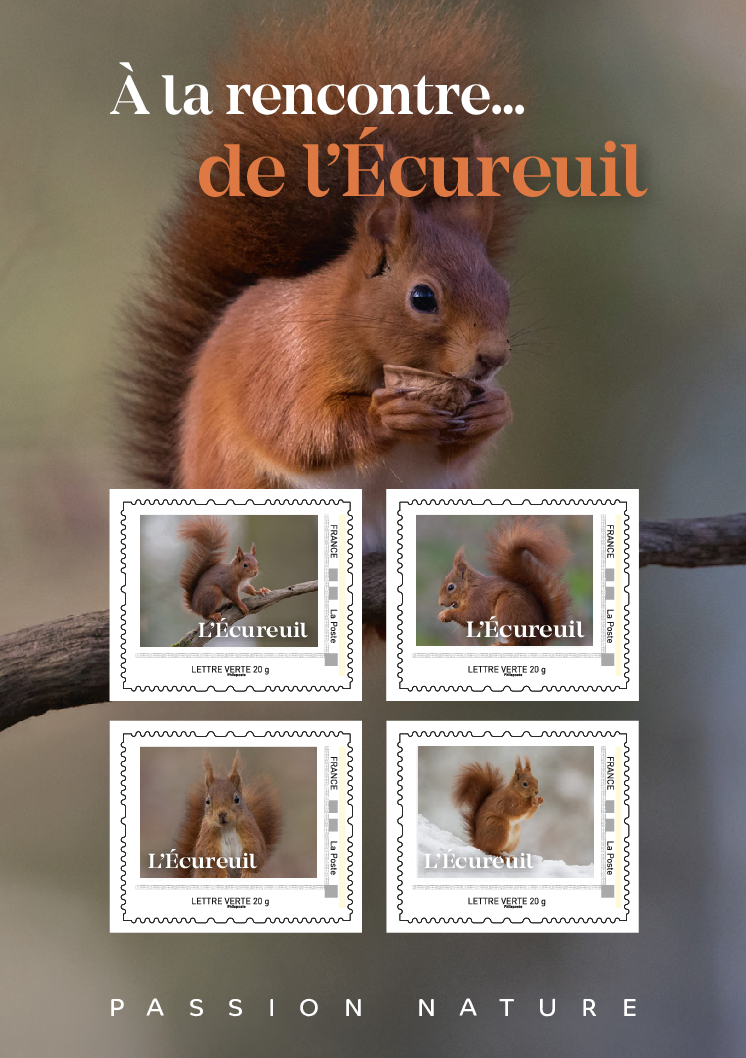 France, Squirrel collector's stamp set, new stamps of France 2025