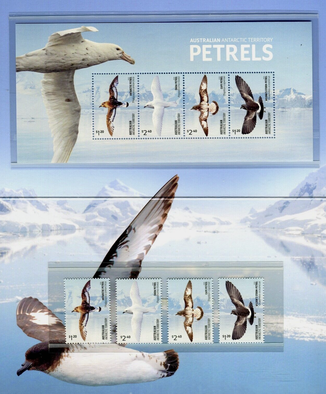 Petrels Australia postage stamps 2024