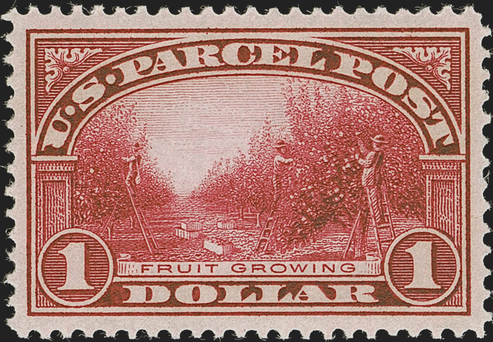 Fruit Growing carmine rose Parcel Post stamp with the denomination of $1