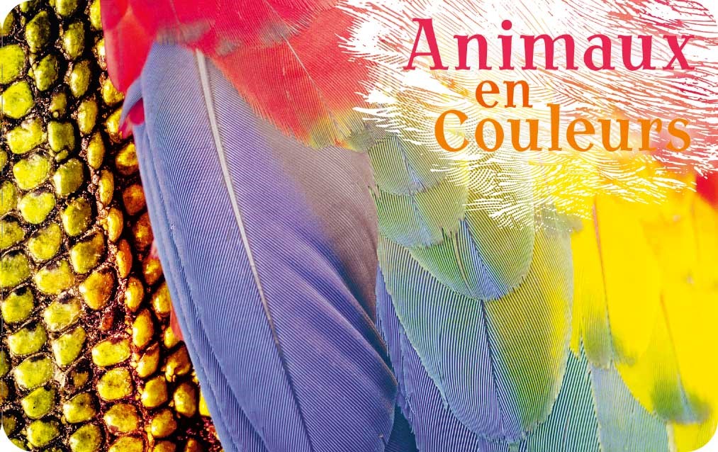 Animals in colors 2024 France stamps