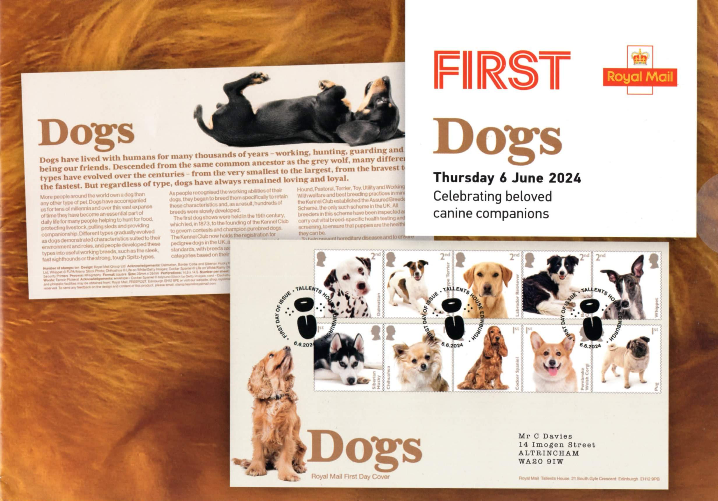 Dogs stamp series 2024, UK stamps