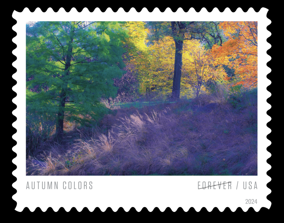 USA Autumn Colors Forever Stamp Series 2024