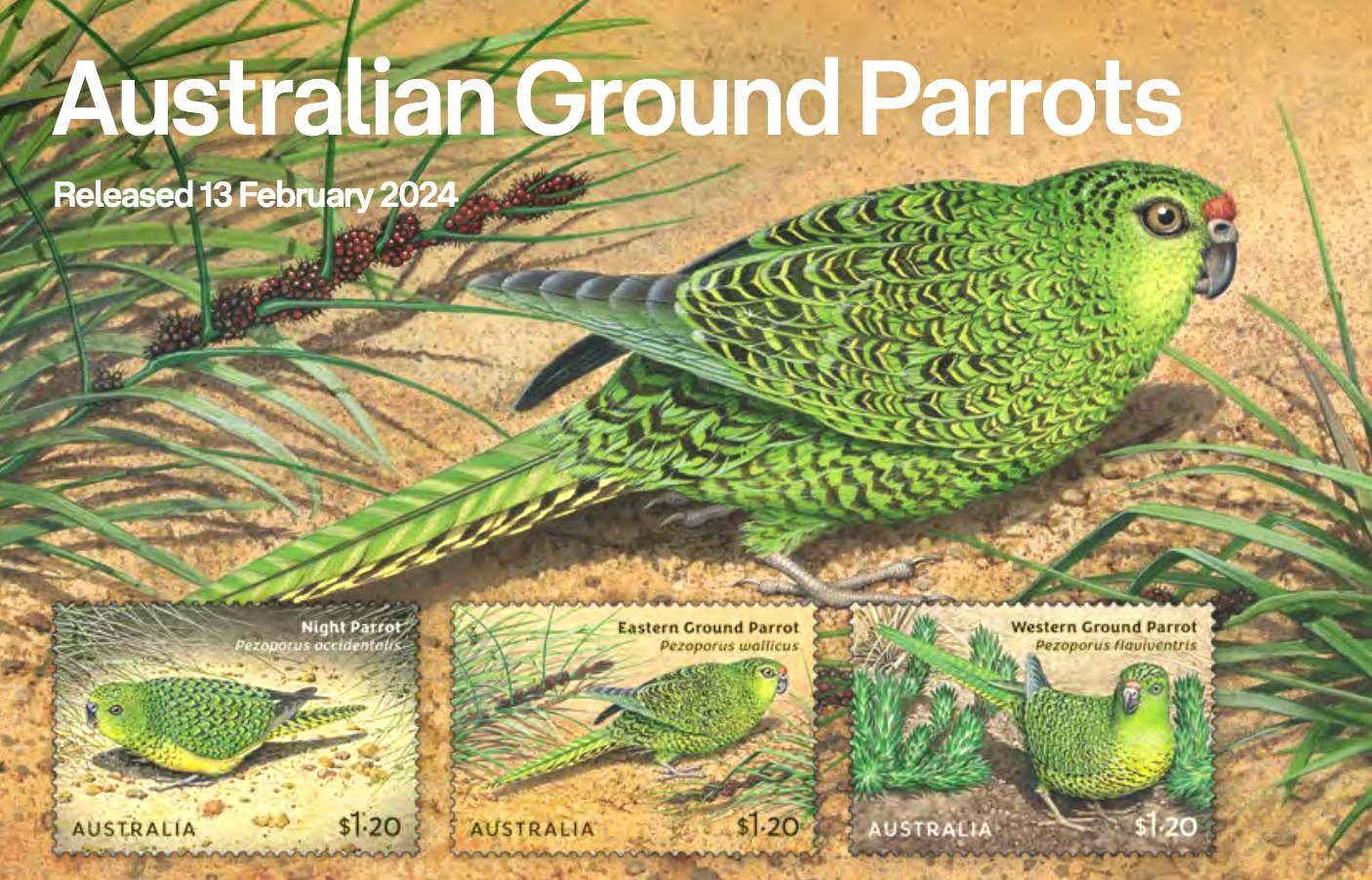Australian ground parrots stamp series 2024