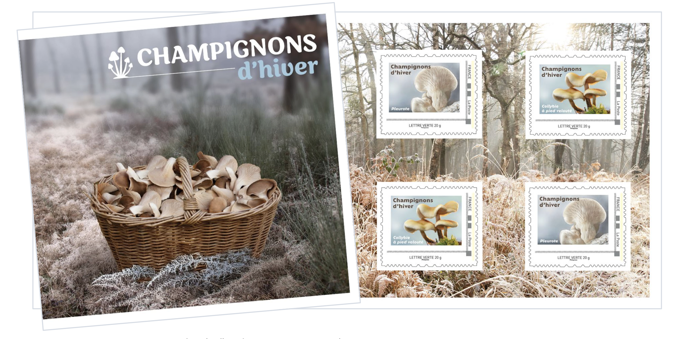 Champignons d'hiver / Winter champignons stamp series New France stamps 2025