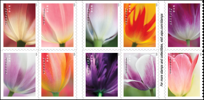 Tulip Blossoms US stamps 2023