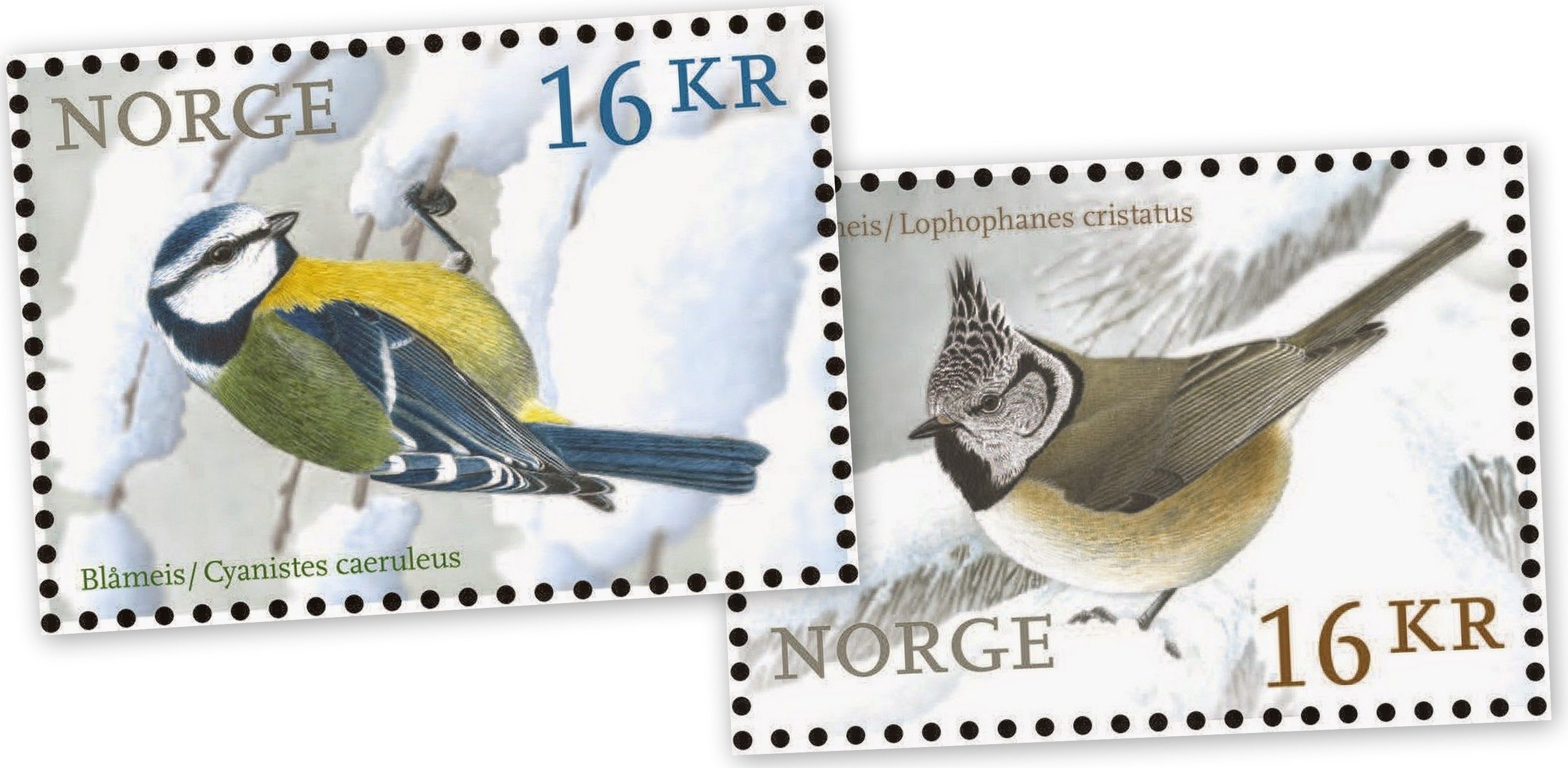 Norwegian Birds have appeared on a new stamps issue