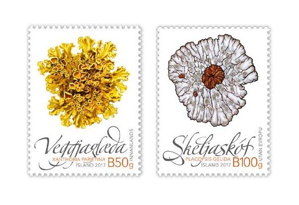 Wild Icelandic Vegetation II – Lichen. Two bright stamps introduced by Iceland Post