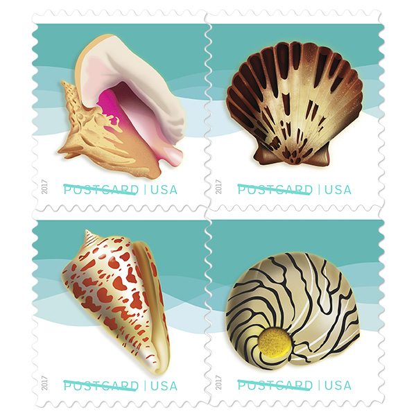 Seashells Postcard Stamps are being issued by USPS. Four bright philatelic items introduced