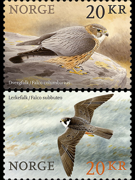 Two birds of prey mark the beginning of the Norwegian stamp year. 2 bright stamps introduced