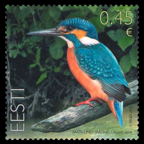 Bird of the Year – Common Kingfisher stamp from Estonia