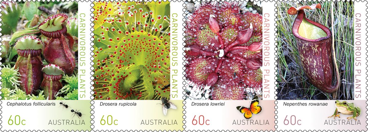 Carnivorous Plants on new Australian stamps