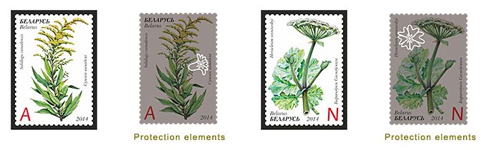 Invasive plants of Belarus