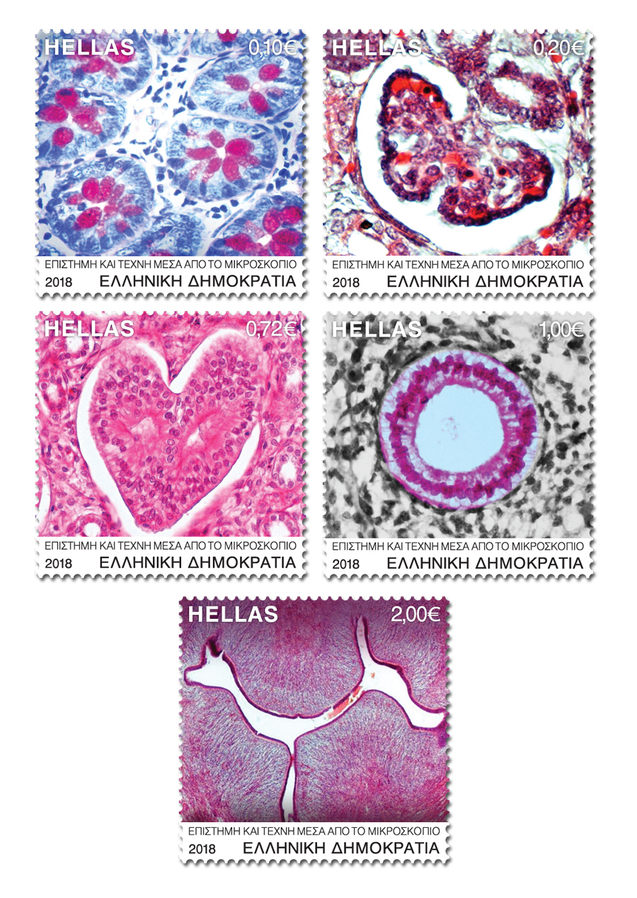 Science and art through the microscope… Five bright stamps introduced by Greek Post!