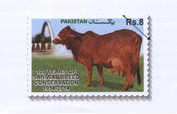 Pakistan Post is to issue stamps on Sahiwal Dairy Cattle Breed Conservation