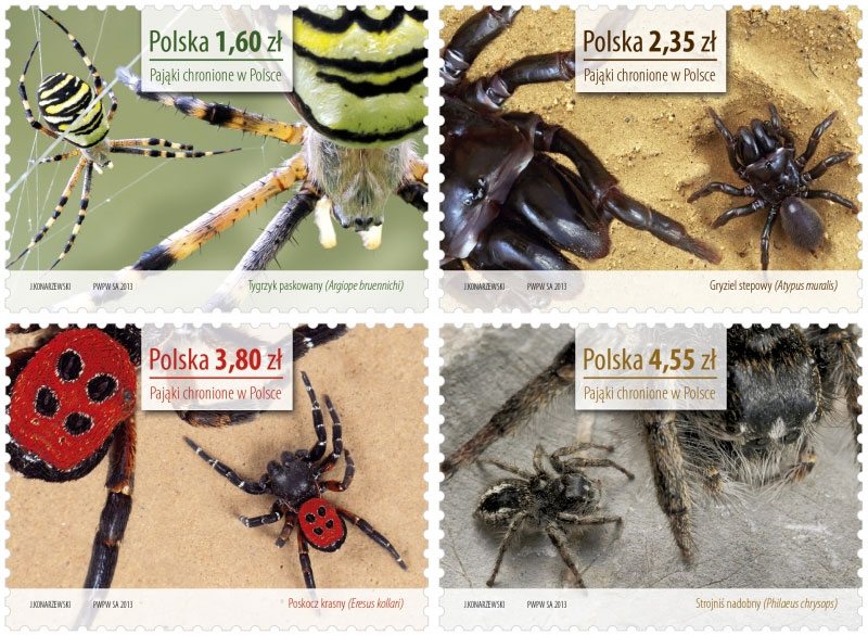 Endangered species of spiders in Poland on new stamps