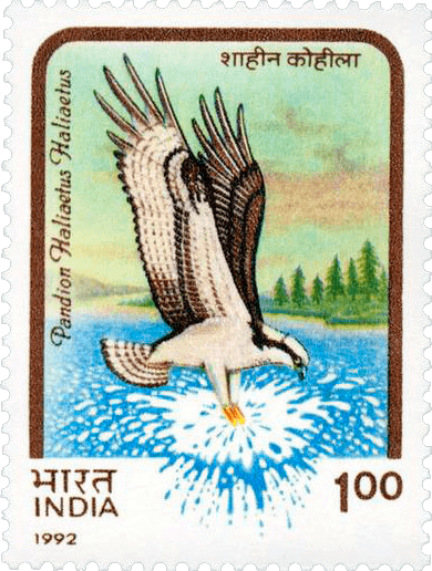 Der India Birds of Prey Fehlerstempel, 1992