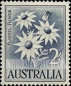 FindYourStampsValue: Flannel Flower