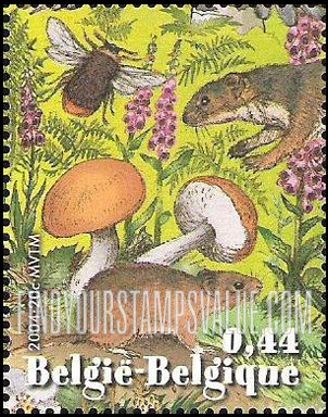 FindYourStampsValue: Forest Week: Bumblebee, vole, flowers, mushrooms, head of weasel