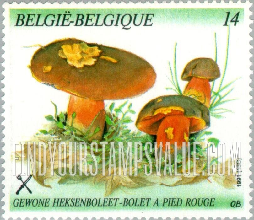 FindYourStampsValue: Mushrooms: Boletus erythropus