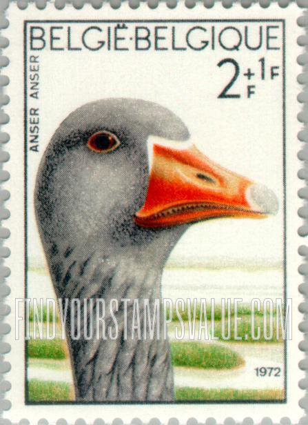 FindYourStampsValue: Semi-Postal: Gray Lag Goose