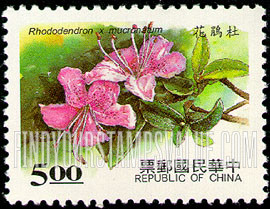 FindYourStampsValue: Woody Plants: Rhododendron mucronatum - 花卉: 木本花: 杜鹃花