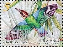 FindYourStampsValue: Pitta Nympha in flight - 八色鸟在飞行中