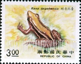 FindYourStampsValue: Amphibians: Rana taipehensis - 两栖类: 台北赤蛙