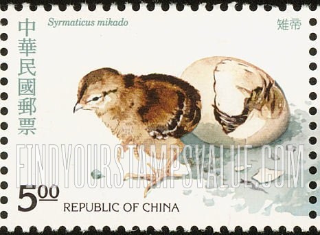 FindYourStampsValue: Syrmaticus Mikado: Hatchling - 帝雉: 孵化 (幼雏)