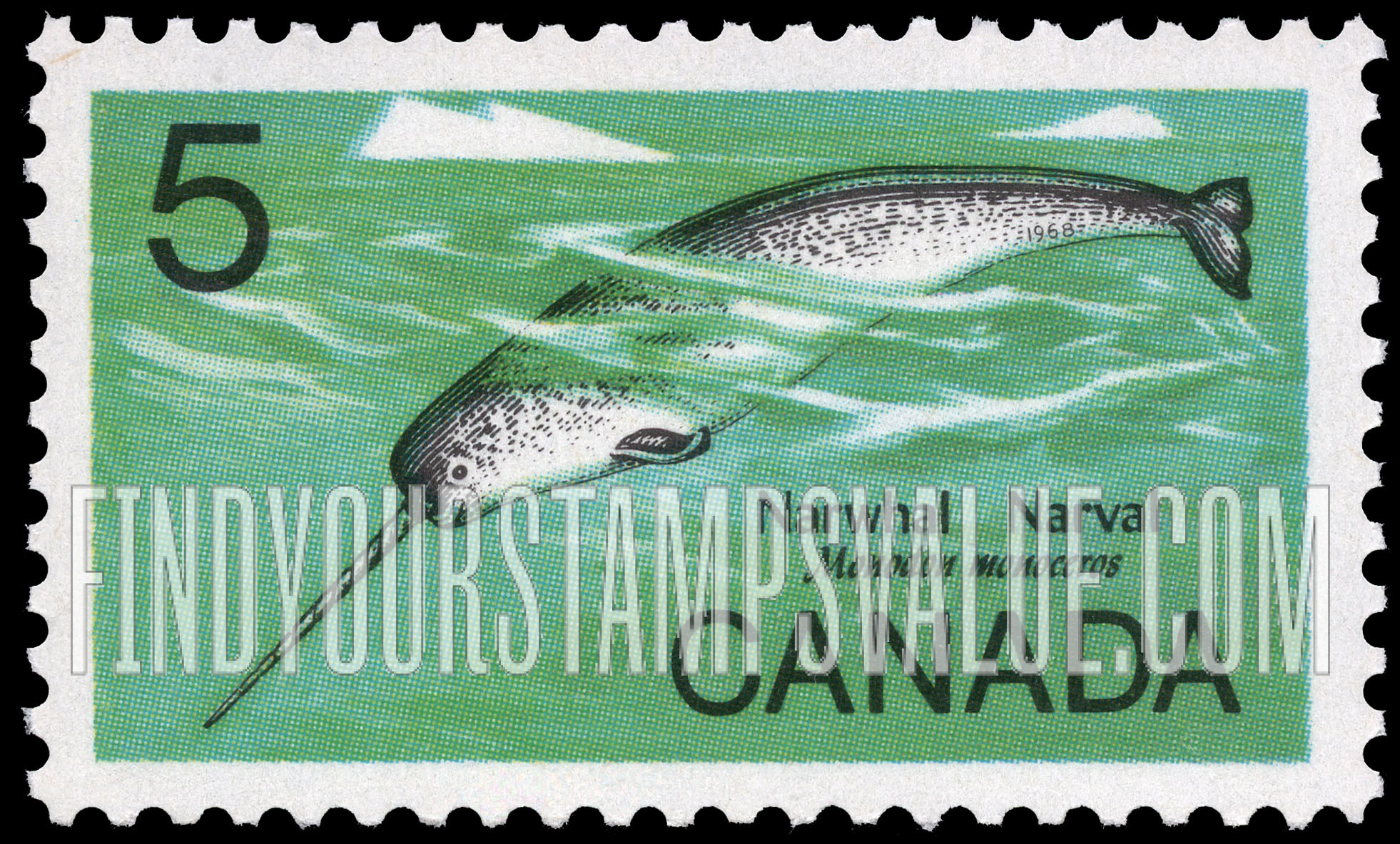 FindYourStampsValue: Male Narwhal