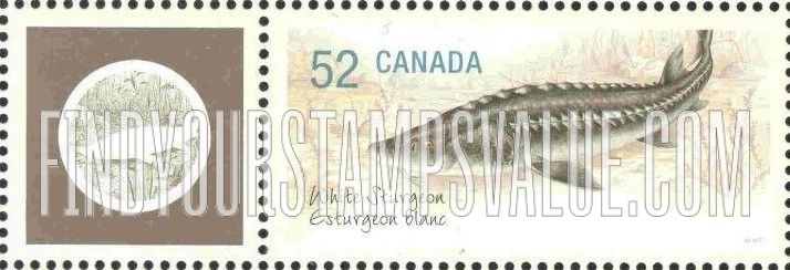 FindYourStampsValue: Endangered Animals Type of 2006: White Sturgeon