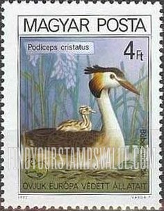 FindYourStampsValue: Great crested grebe