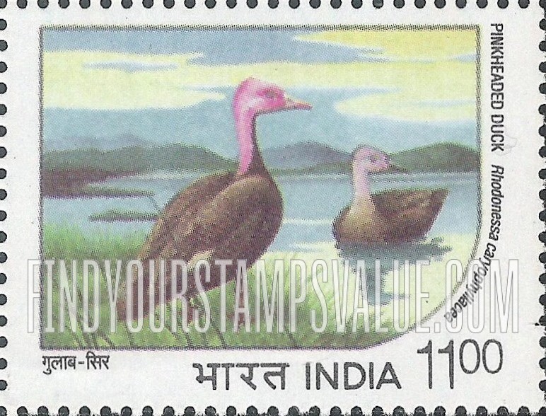FindYourStampsValue: Republic of India: Pink-headed duck - भारत गणराज्य: गुलाब-सिर