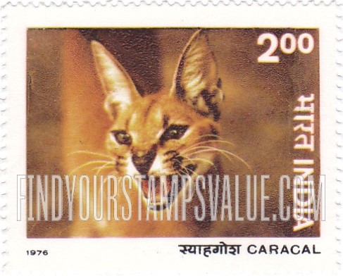 FindYourStampsValue: Republic of India: Caracal - भारत गणराज्य: स्याहगोश