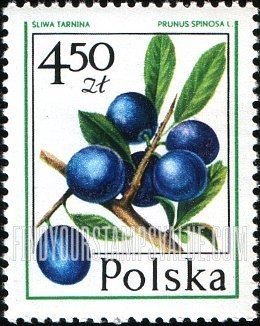 FindYourStampsValue: Forest Fruits: Blueberry