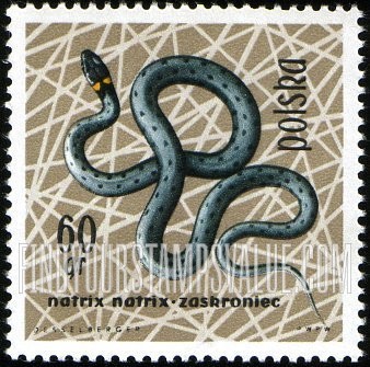 FindYourStampsValue: Grass snake