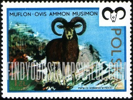 FindYourStampsValue: Mouflon