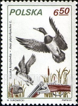 FindYourStampsValue: Fen duck