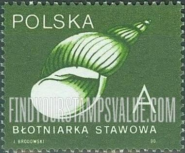 FindYourStampsValue: Shells: Fresh water snail