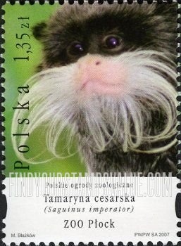 FindYourStampsValue: Animals in Polish Zoos: Saguinus imperator, Plock Zoo