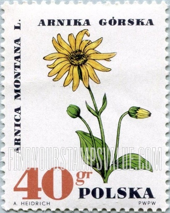 FindYourStampsValue: Medicinal Plants: Mountain Arnica