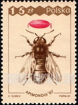 FindYourStampsValue: Drone