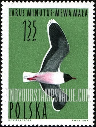FindYourStampsValue: Waterfowl: Little gull