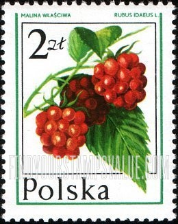 FindYourStampsValue: Forest Fruits: Raspberry