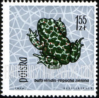 FindYourStampsValue: Green toad