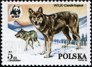 FindYourStampsValue: World Wildlife Fund: Wolves, winter landscape