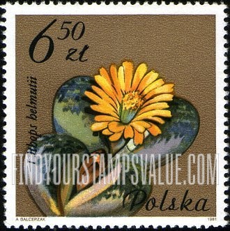 FindYourStampsValue: Flowering Succulent Plants: Lithopsps helmutii